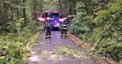 Srážky a povodně se Lounsku a Žatecku tentokrát vyhnuly. Hasiči i tak měli práci, vichr u Koštic shodil stromy na silnici