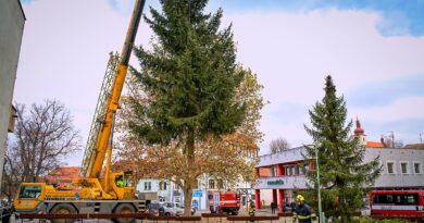 Vánoční strom v Podbořanech je připravený k výzdobě a rozsvícení. Hasiči ho přivezli z Mírové ulice