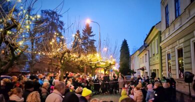 Stovky návštěvníků tleskaly dětem v Ročově. U školy se rozsvítil krásný vánoční strom