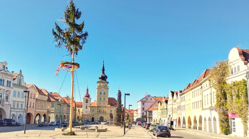 Májka na náměstí v Žatci stojí teprve podruhé. „Krále“ tvoří vysoký smrk, menší břízky jsou dole v květináčích