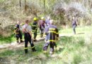 Nejen národní park: v suché krajině dvakrát hořely i lesy na Podbořansku. Hasiči navíc hledali i pohřešovanou ženu