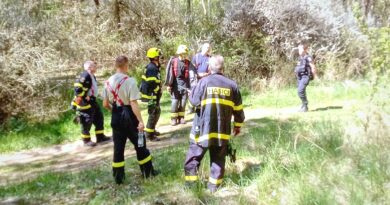 Nejen národní park: v suché krajině dvakrát hořely i lesy na Podbořansku. Hasiči navíc hledali i pohřešovanou ženu