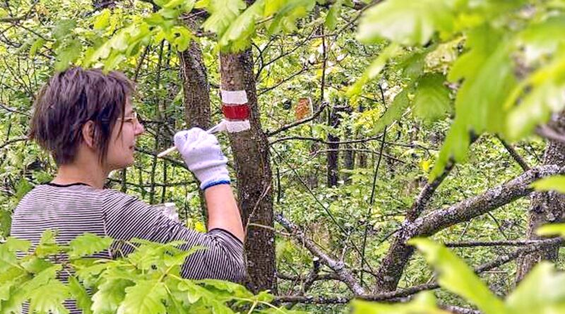 Na Podbořansku se rodí nová turistická trasa. První červené značky už jsou namalované, délka bude kolem 50 km