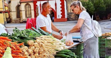 Farmářské trhy v Žatci se pro tento týden ruší. Úmorné vedro by mohlo být pro lidi na rozpáleném náměstí nebezpečné