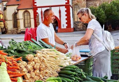 Farmářské trhy v Žatci se pro tento týden ruší. Úmorné vedro by mohlo být pro lidi na rozpáleném náměstí nebezpečné