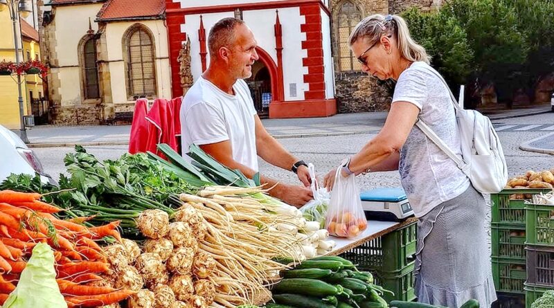 Farmářské trhy v Žatci se pro tento týden ruší. Úmorné vedro by mohlo být pro lidi na rozpáleném náměstí nebezpečné