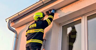 Malá vlaštovka vypadla z hnízda a bezbranně ležela na chodníku. Na pomoc přijeli hasiči