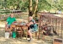 Chovatelé zvou na oblíbenou výstavu. Ve Smolnici budou stovky zvířat i voňavý guláš