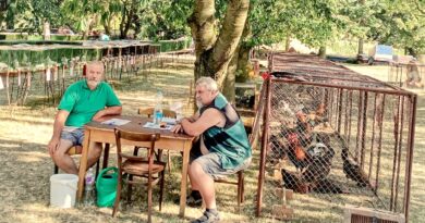 Chovatelé zvou na oblíbenou výstavu. Ve Smolnici budou stovky zvířat i voňavý guláš