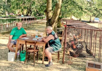 Chovatelé zvou na oblíbenou výstavu. Ve Smolnici budou stovky zvířat i voňavý guláš