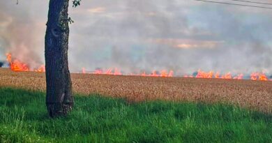 Přicházejí opět tropické dny. Riziko požárů zase stoupne, u Blažimi již hořelo pole se škodou za 200 tisíc Přicházejí opět tropické dny. Riziko požárů zase stoupne, u Blažimi již hořelo pole se škodou za 200 tisíc