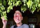 Přehrada sama sucho nevyřeší – ale bez vody ho také nevyřešíme. Nejde o přehradu místo krajiny. Jde o vodu pro krajinu